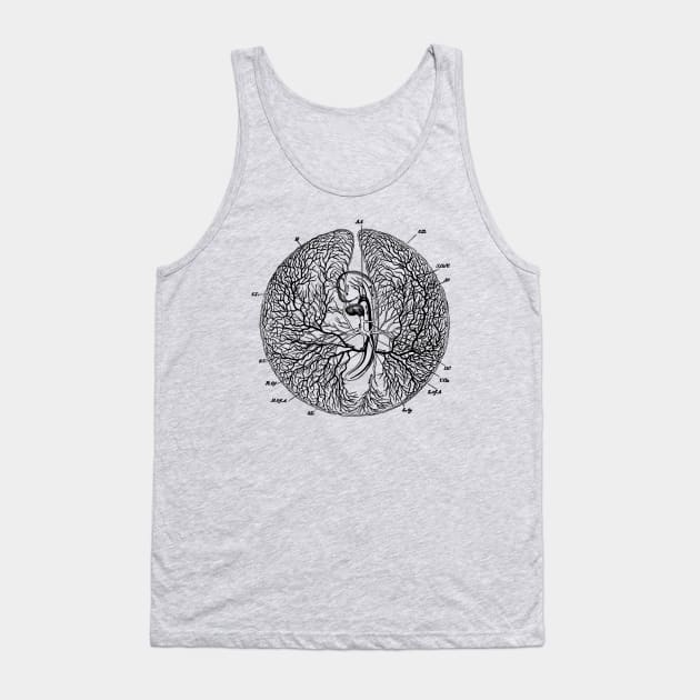 Blood Vessels of a Chicken's Egg - dark version Tank Top by metaphysical